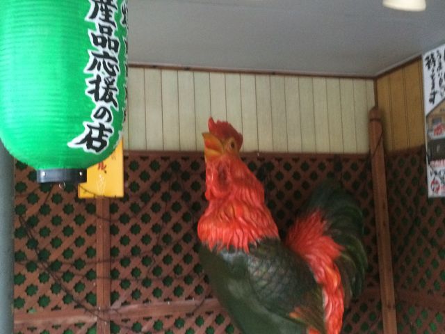 鳥がお出迎え_ドライブイン鳥
