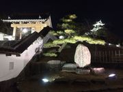 あがっち!さんの掛川城公園の桜の投稿写真2