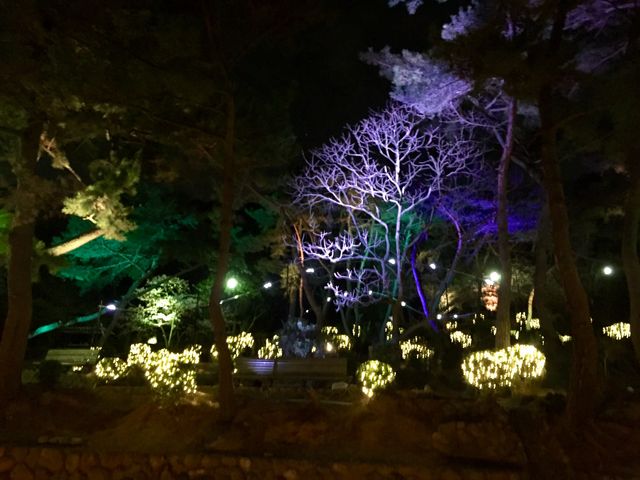 ライトアップ_須磨浦公園の桜