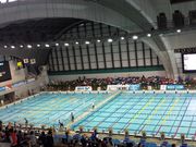 まりこまゆうさんの東京辰巳国際水泳場の投稿写真1