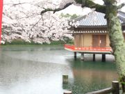 chocochocoさんの安倍文殊院の投稿写真1