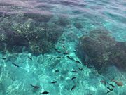 さとしっくさんの伊計ビーチの投稿写真2