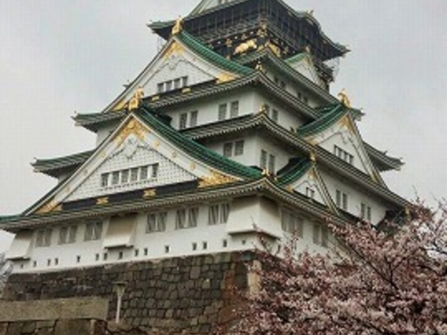 春の熊本城と桜_熊本城
