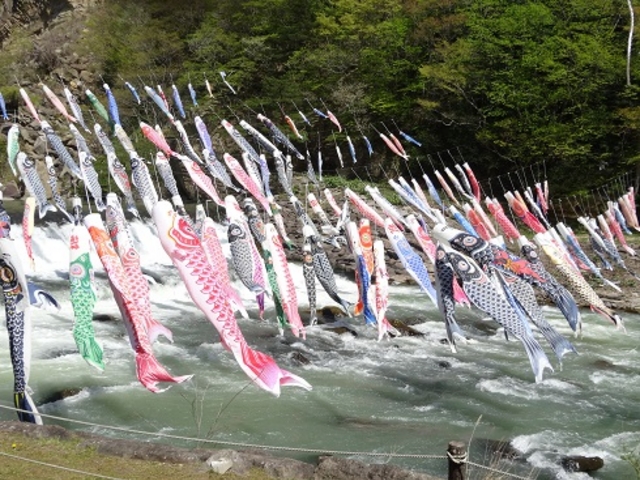 ともかくすごい数です!_材木岩(宮城県白石市)