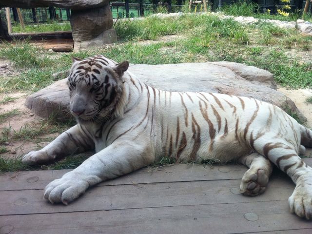 平川動物公園