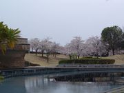 okeiさんのみずいろ公園の投稿写真2