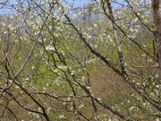 okeiさんの男沼の投稿写真3