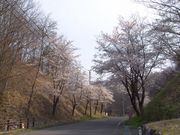 okeiさんのさくら湖(三春ダム)の投稿写真3