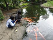 50代のスノーボードおじさんさんのハーブ庭園旅日記の投稿写真2