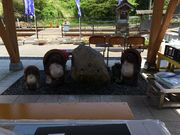 まささんの延命水の投稿写真1