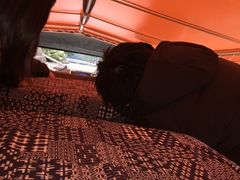 松江城の写真2