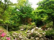 かるとんさんの花みどり公園の投稿写真1