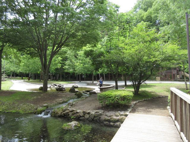 涼しげな公園内_さかな公園