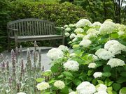 ニコちゃんさんの浄妙寺の投稿写真1