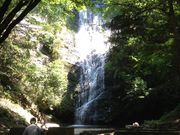 aaraさんの琴滝の投稿写真1