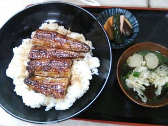 うなぎ二枚丼。_天竜浜名湖鉄道