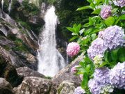 みいさんの見帰りの滝の投稿写真1