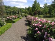 くりさんの軽井沢レイクガーデンの投稿写真1