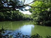 50代のスノーボードおじさんさんの震生湖の投稿写真1