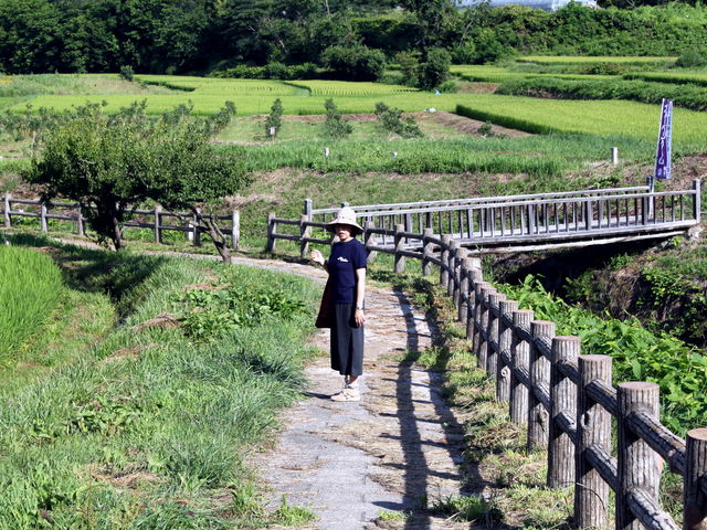 ブルーベリー摘み食い禁止
_金田一温泉郷