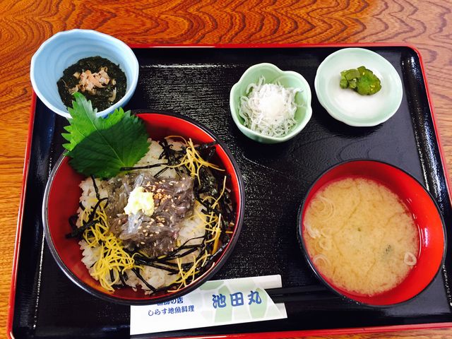 生しらす丼_池田丸 腰越店