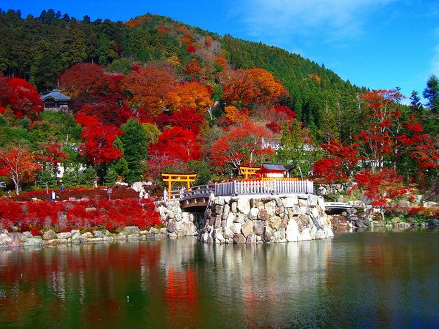 勝尾寺