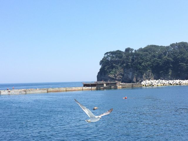 宮古市遊覧船 宮古うみねこ丸
