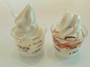 こねこさんの杉養蜂園 阿蘇みつばち牧場の投稿写真1