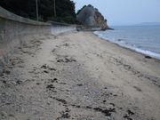 いわぴいさんの白潟海岸の投稿写真1