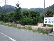 いわぴいさんの白潟海岸の投稿写真2