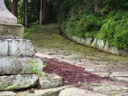 のりたま山さんの成島八幡神社の投稿写真3