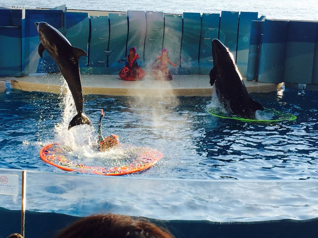 新江ノ島水族館