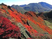 kiyochanさんのくじゅう連山の投稿写真3