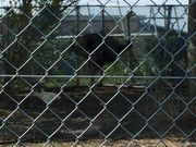 ヨッシーさんの有明の森フラワー公園の投稿写真2
