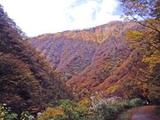 tikaokaさんの赤芝峡の投稿写真1