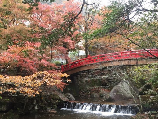 岩屋堂公園