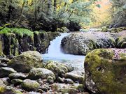 仏像さんの菊池渓谷の投稿写真1