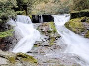 仏像さんの菊池渓谷の投稿写真3