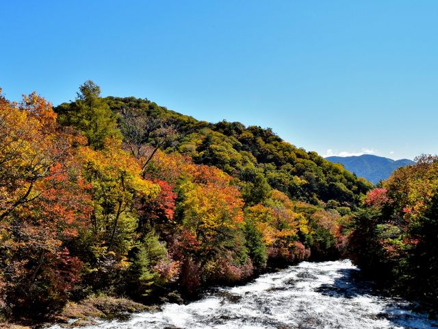 竜頭の滝(上滝)_竜頭ノ滝