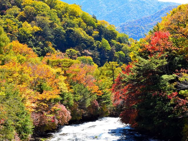 竜頭の滝(上滝)_竜頭ノ滝
