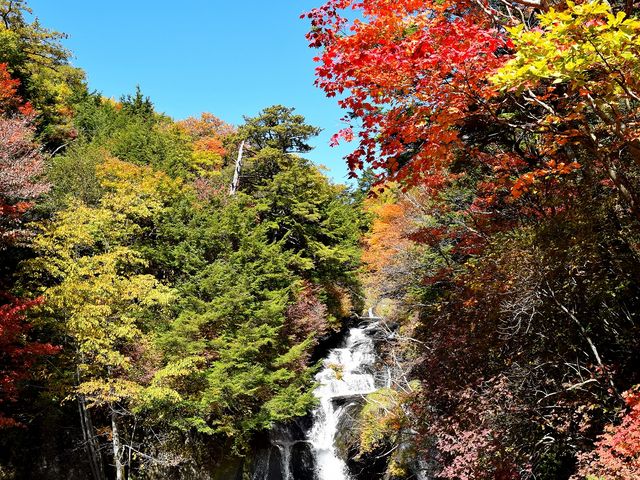竜頭の滝_竜頭ノ滝