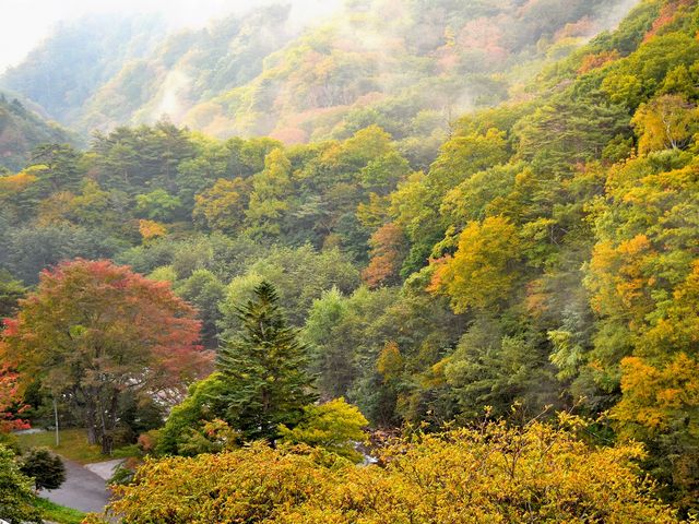 川俣の夜明け(川俣秘極の湯隠の客室より)_川俣温泉