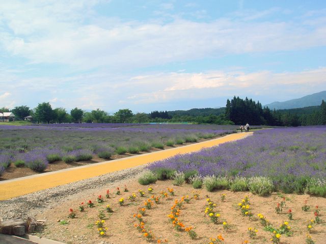 aliceさんの千畑温泉サン・アールの投稿写真1