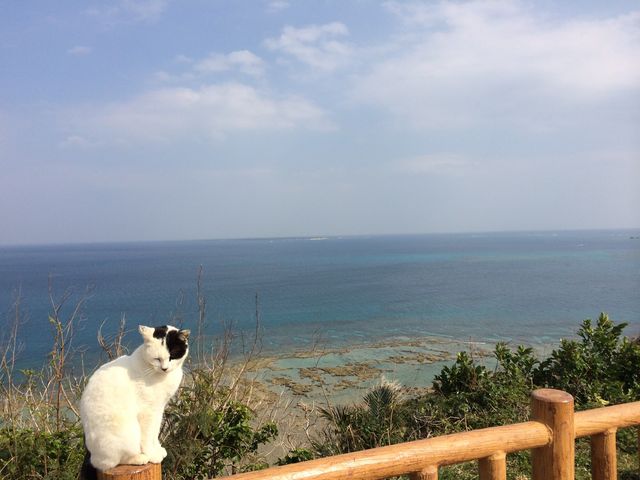 綺麗な海のグラデーション_知念岬公園