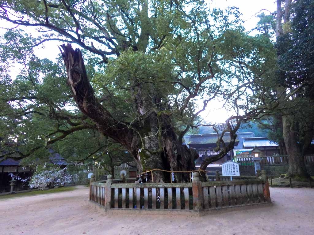 大山祇神社