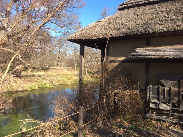 テレビで見たぁ。_大王わさび農場