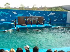 仙台うみの杜水族館の写真1
