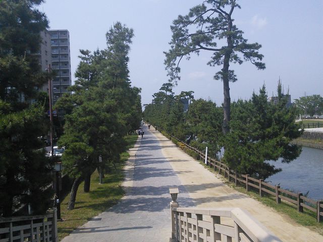 川沿いの公園_草加松原遊歩道