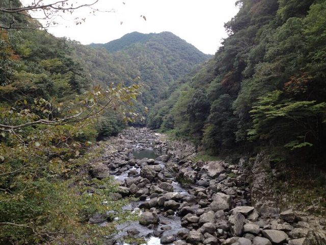 長門峡/もみじ