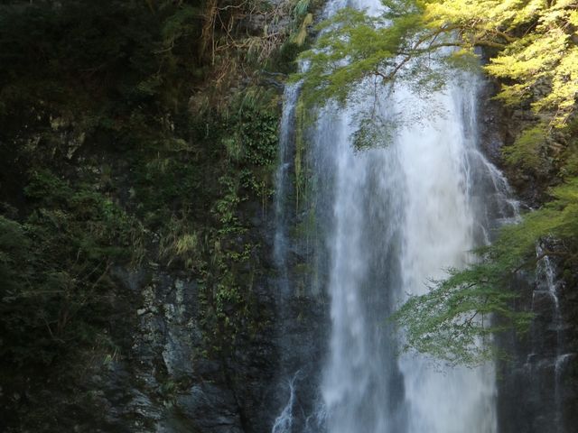 箕面の滝_明治の森箕面国定公園(箕面の滝)
